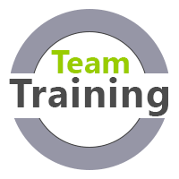 Teamtraining fÃ¼r virtuelle Teams, hybride Teams  und Teams vor Ort MTO-Consulting