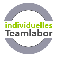 individuelles Teamlabor Teambuilding fÃ¼r virtuelle Teams, hybride Teams  und Teamtraining fÃ¼r Teams vor Ort MTO-Consulting